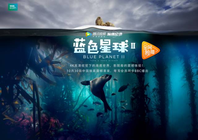 姜可车图片(长图)剧照1